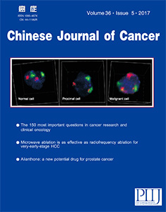 Chinese Journal of Cancer A Big Jump